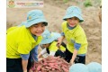 THU HOẠCH KHOAI LANG CÙNG CÁC CHÚ CÁ NEMO
